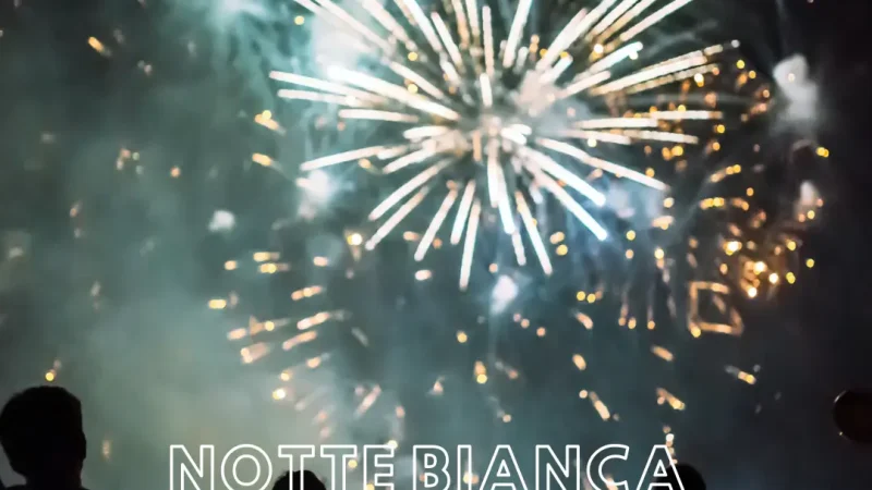 fuochi artificio con sagome di persone Notte Bianca a Trebisacce