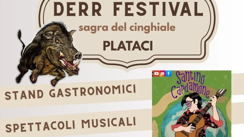 immagine contiene i dettagli dell'evento sagra del cinghiale a plataci