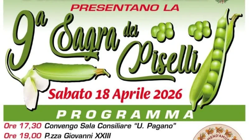 Sagra dei piselli ad Amendolara locandina evento gastronomico Calabria