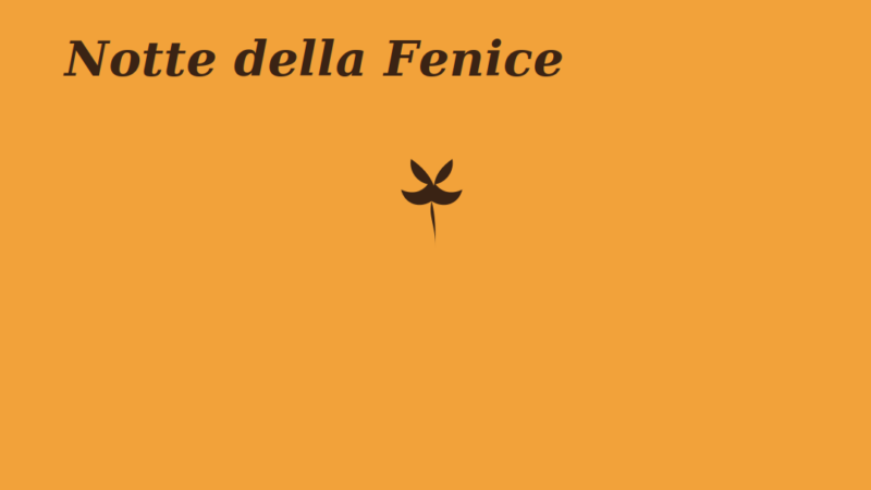 Notte della Fenice a Trebisacce